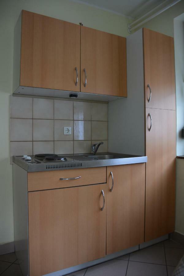 Apartma Podgornik モスト ナ ソシ エクステリア 写真
